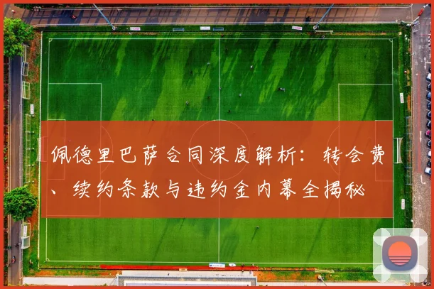 佩德里巴萨合同深度解析：转会费、续约条款与违约金内幕全揭秘